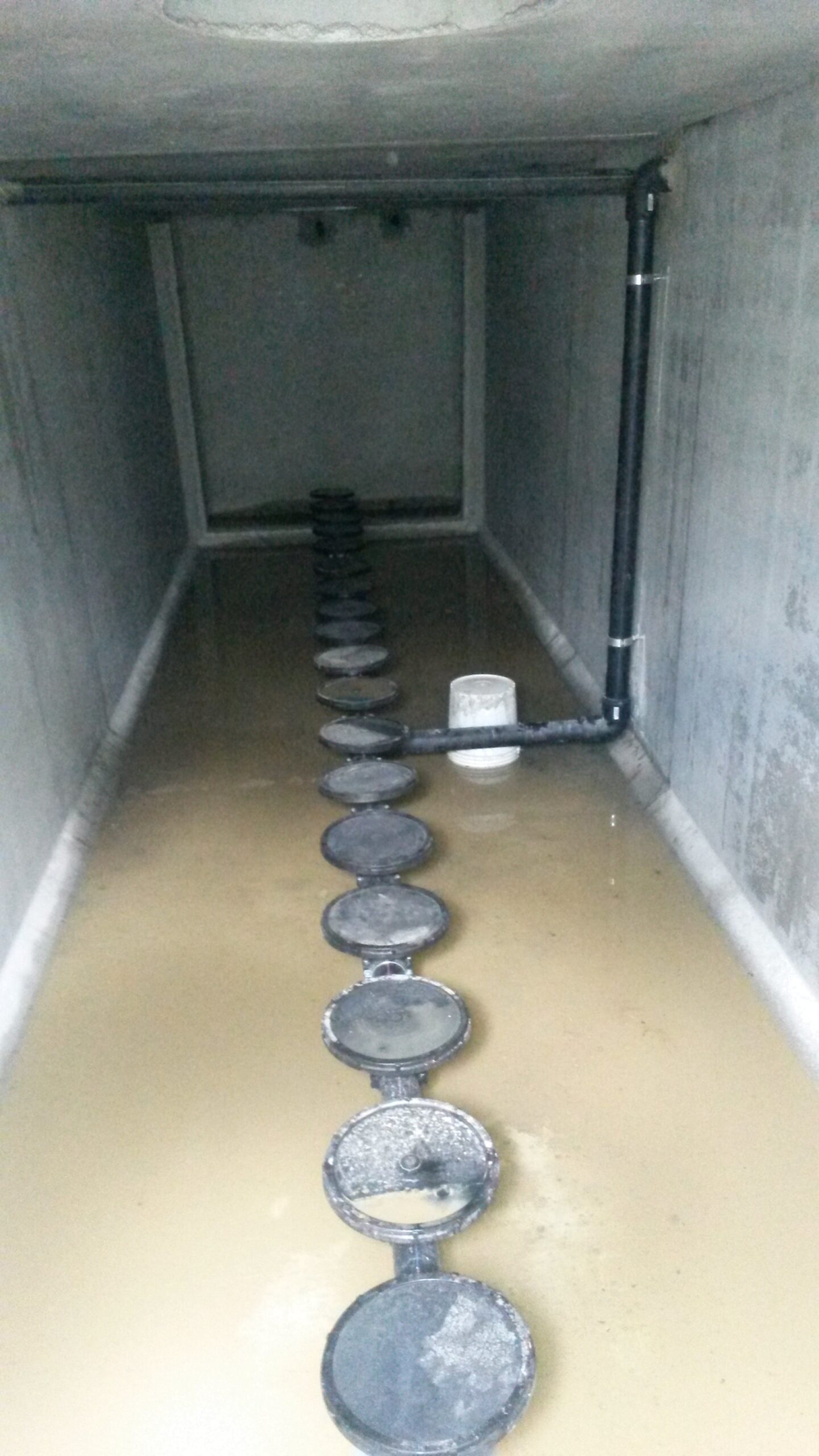 Turricchia Vini S.r.l.