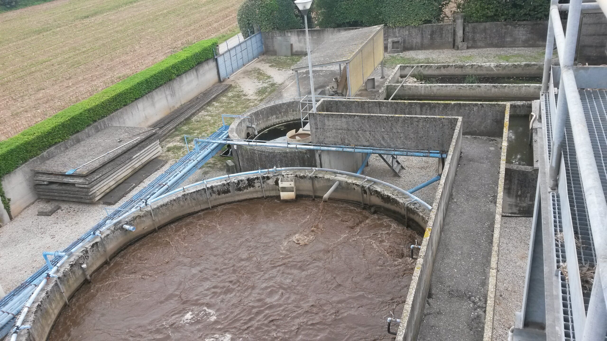 Pollo Castellano S.r.l.
