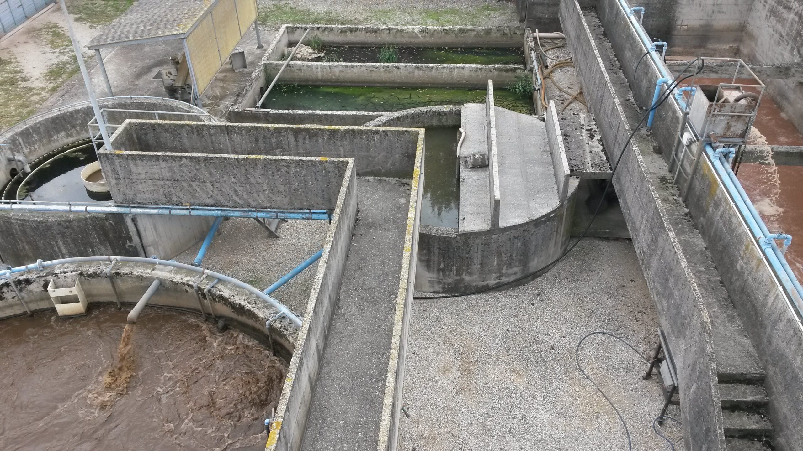 Pollo Castellano S.r.l.