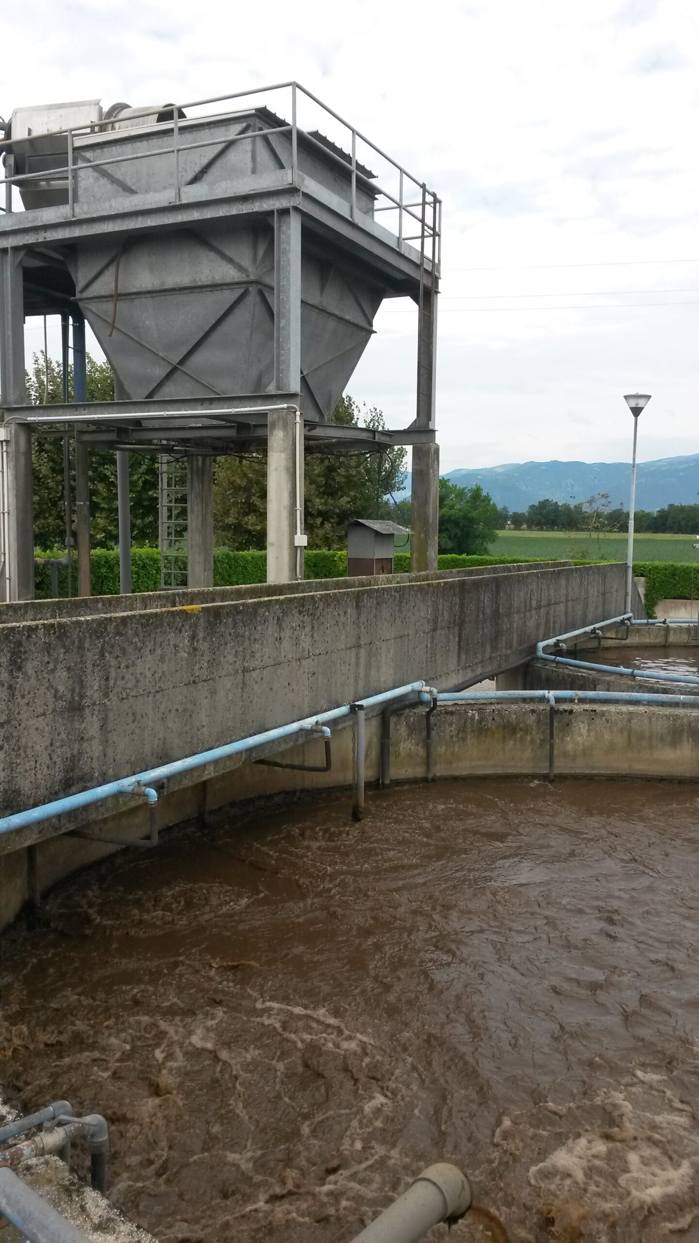 Pollo Castellano S.r.l.