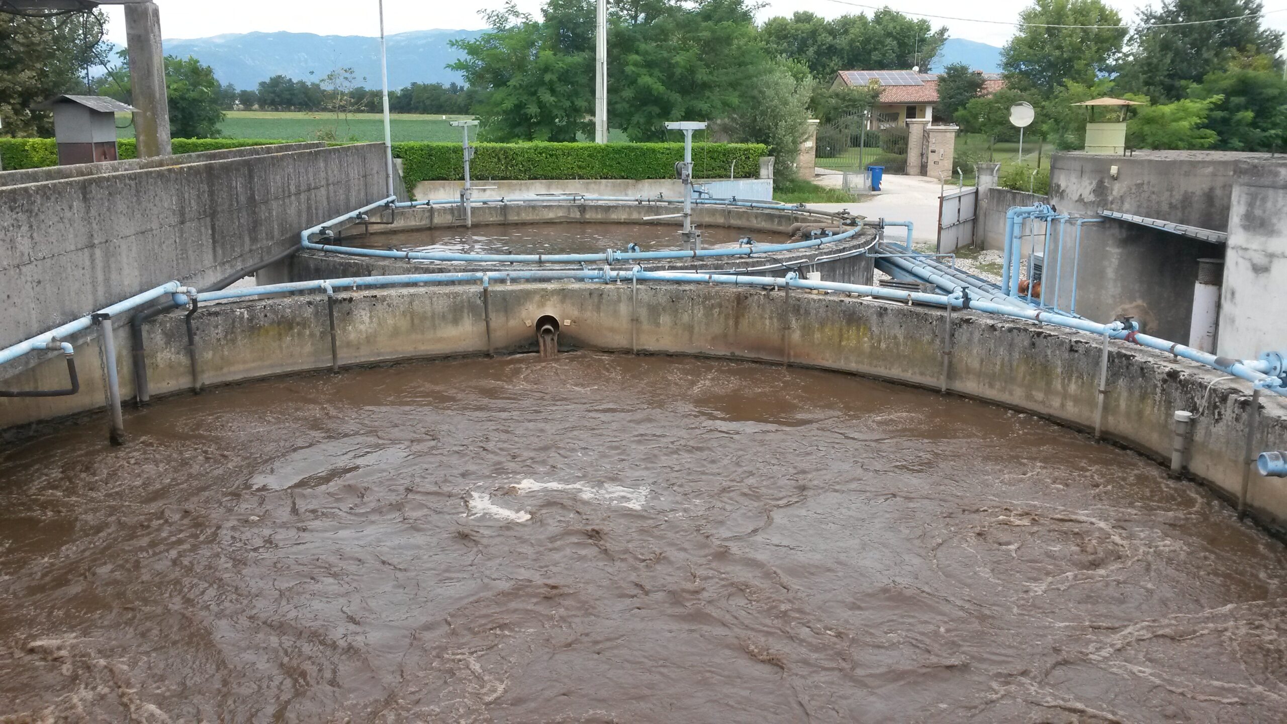 Pollo Castellano S.r.l.