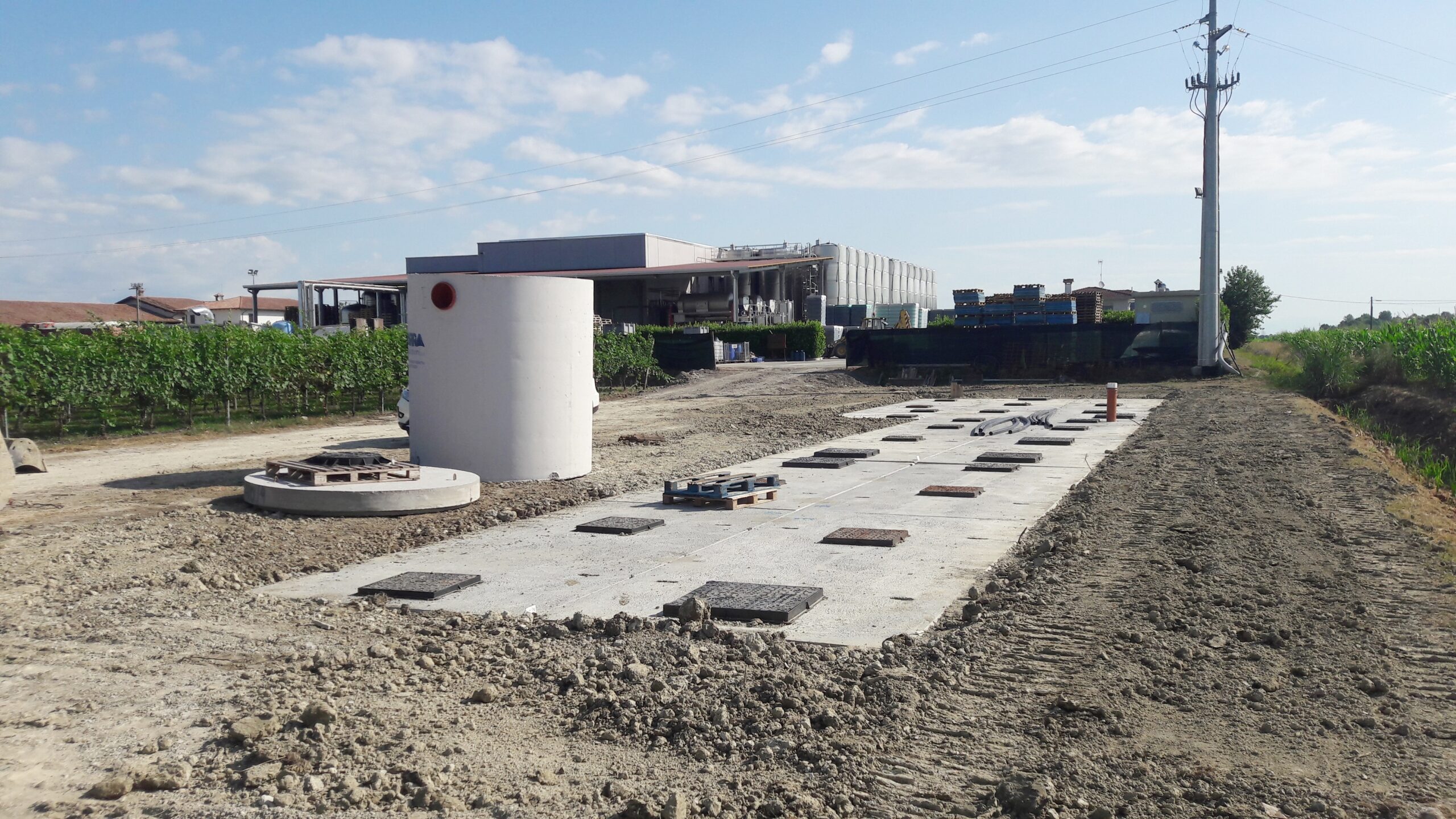 Società Agricola Sutto