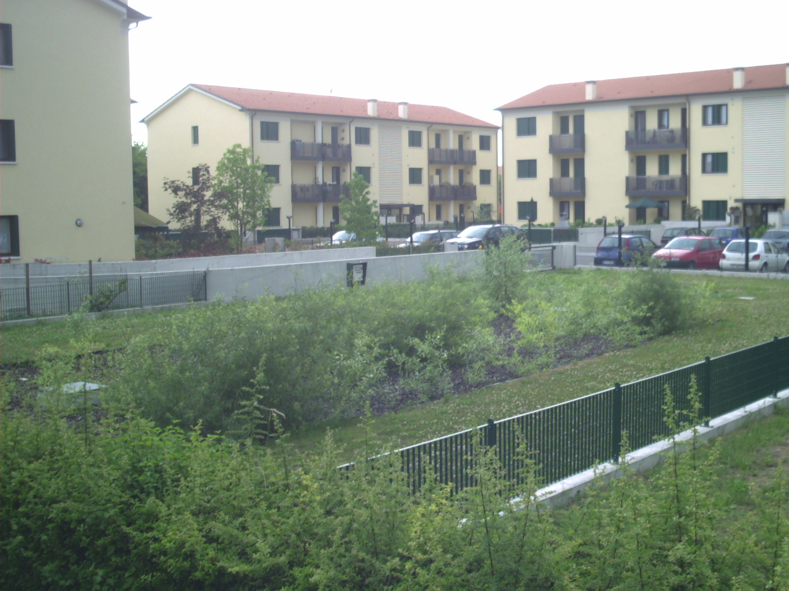 FITODEPURAZIONE
Bacino di fitodepurazione integrale