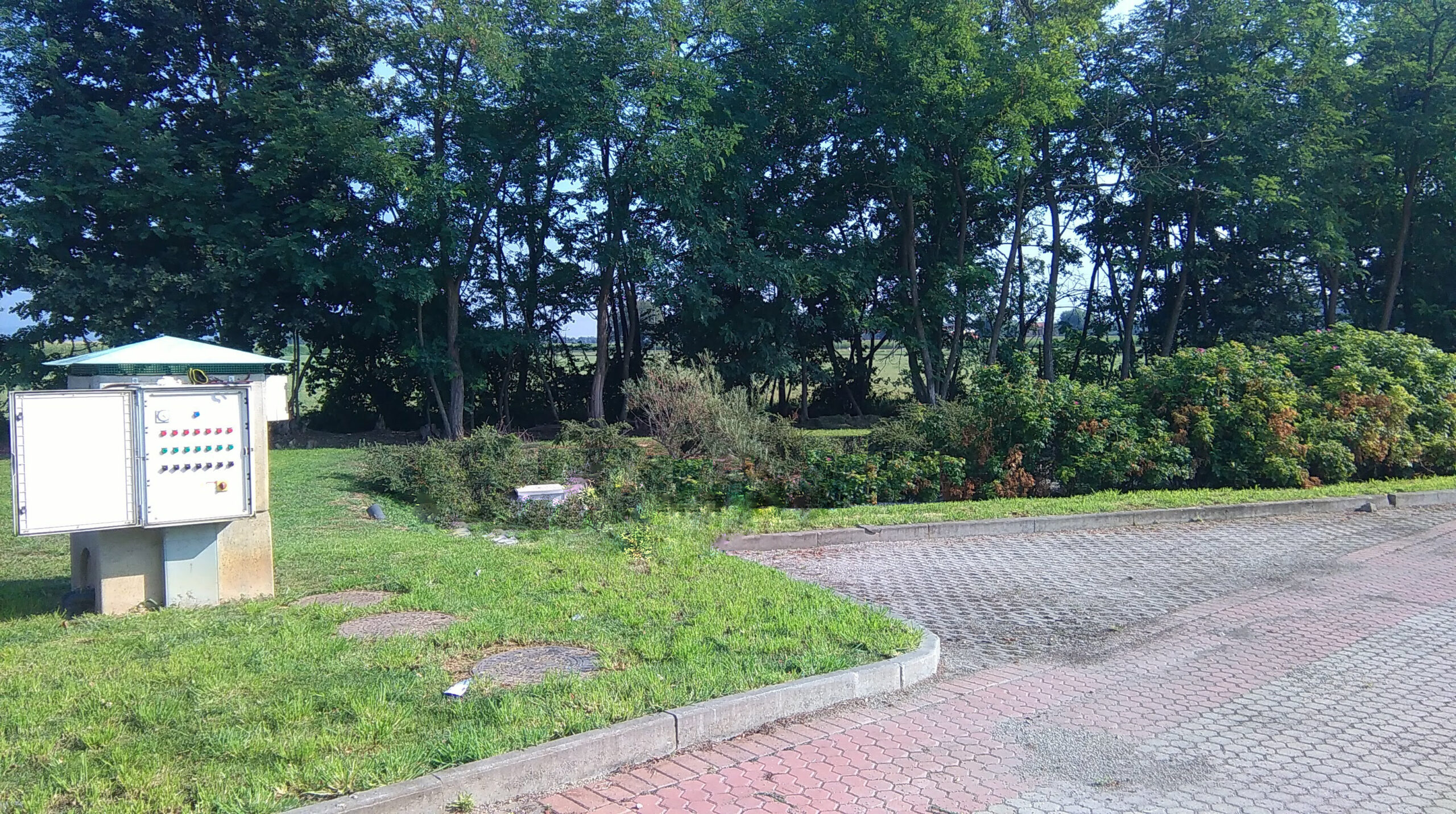 ZF SACHS ITALIA S.r.l.