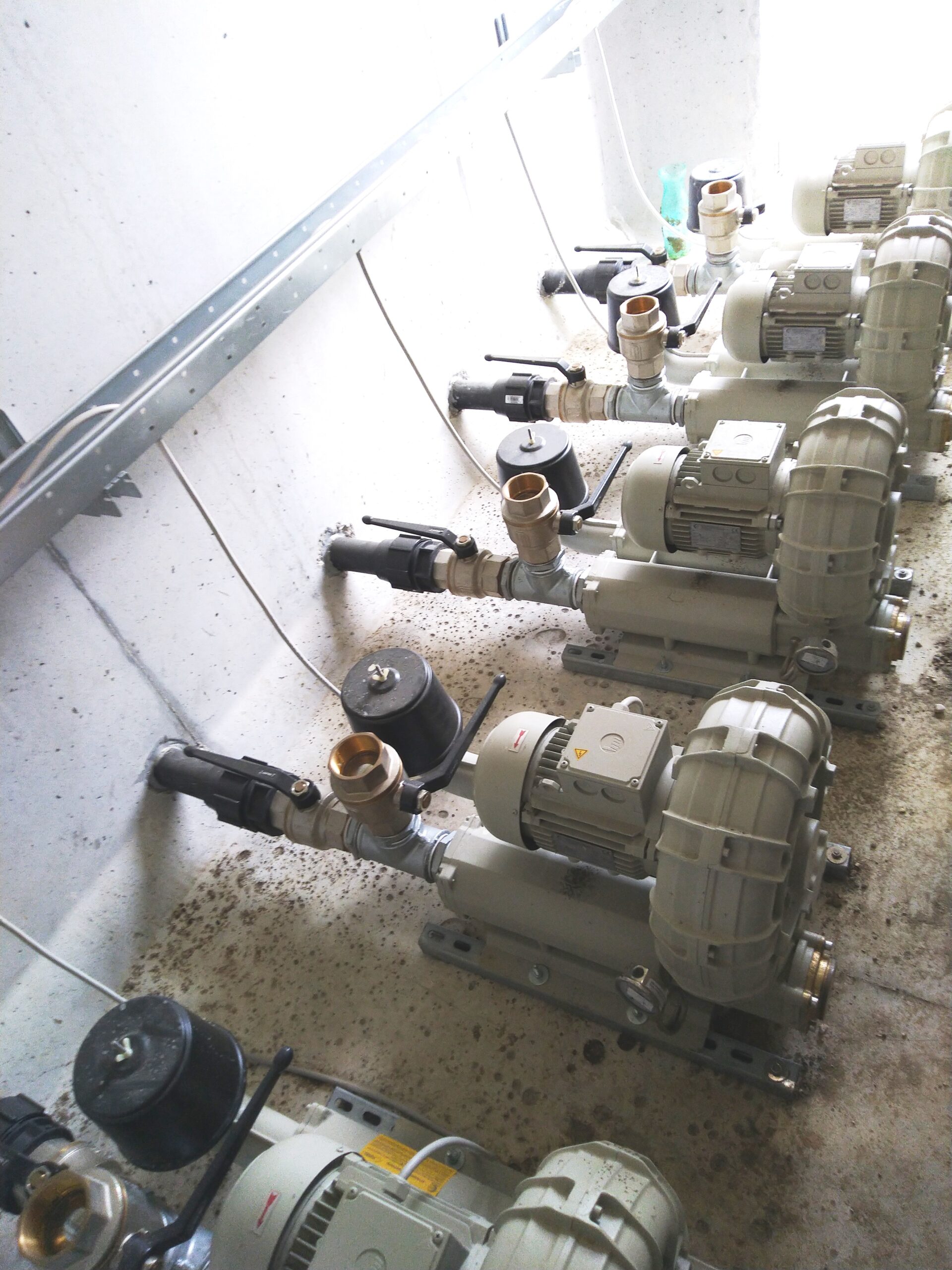 Società Agricola Sutto